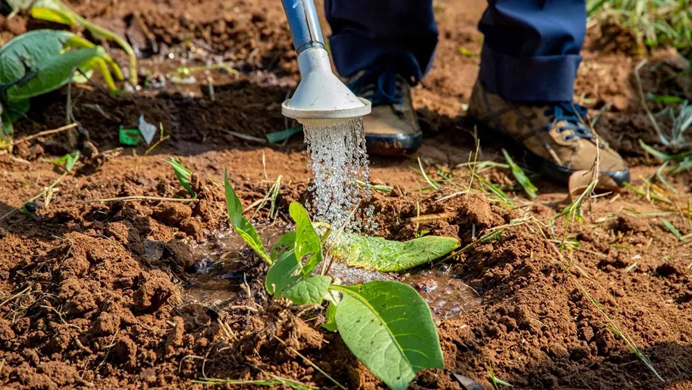 Finding the right irrigation system for your garden is essential to saving our natural resources. Photo: Ivan Horvat, Pixabay