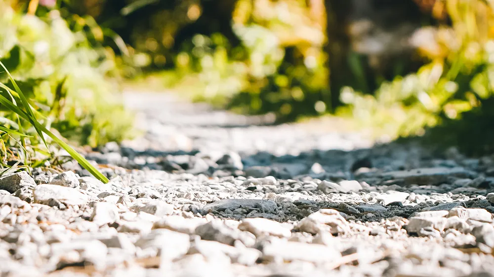 Gravel paths allow rain to slow, spread, and sink. Photo: Niklas Fotografics, Unsplash