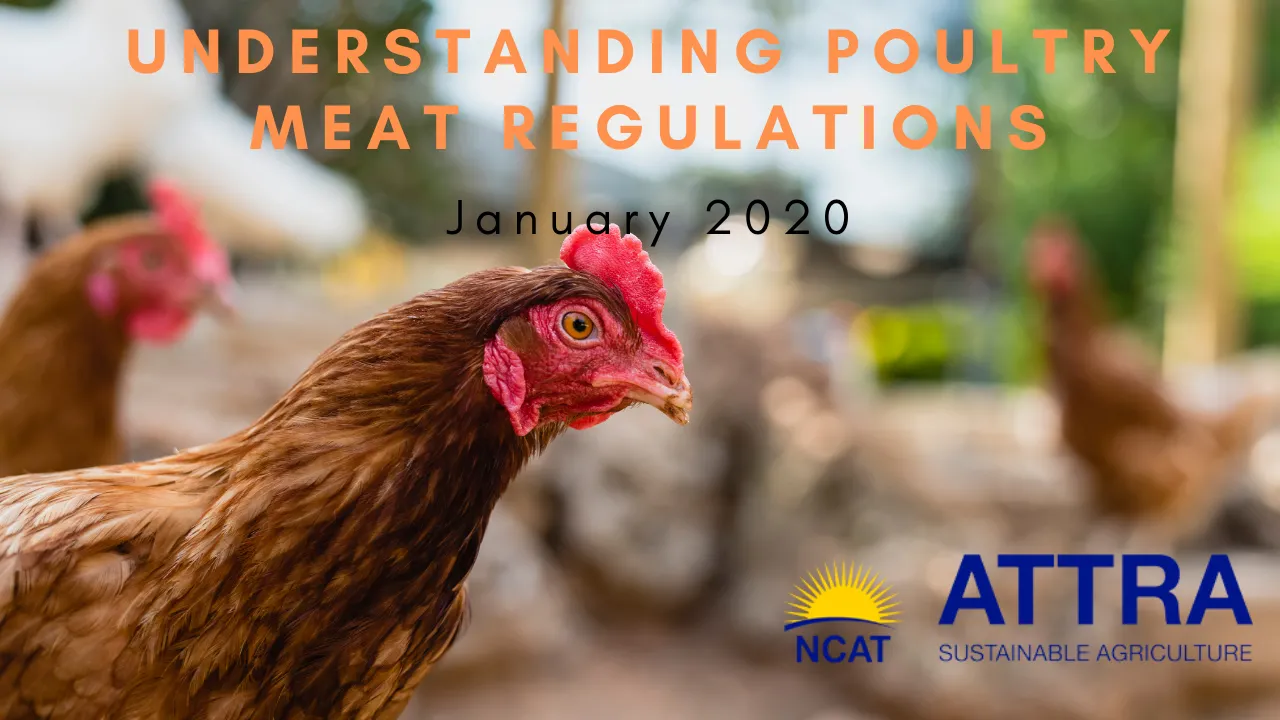 Understanding Poultry Regulations video