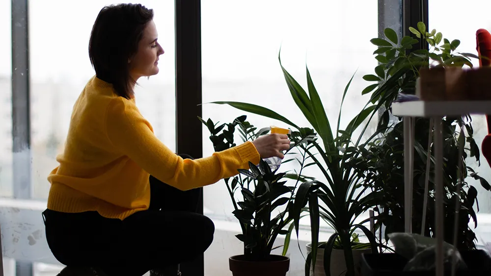 Photo: Daria Rem, Pexels