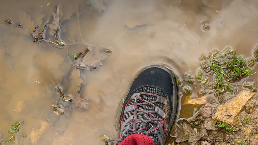 Richard Bell, Unsplash