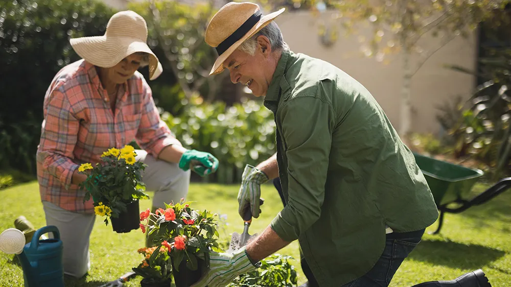 happy-senior-couple-holding-plants-in-yard-LNAS99N