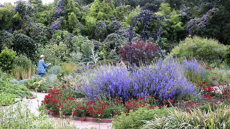 Grow some easy-care, colorful plants near your edible garden to invite pollinators. Creative Commons