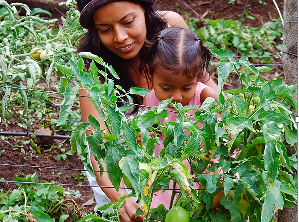 Planting and harvesting are enjoyable edible garden tasks. Courtesy UC Regents