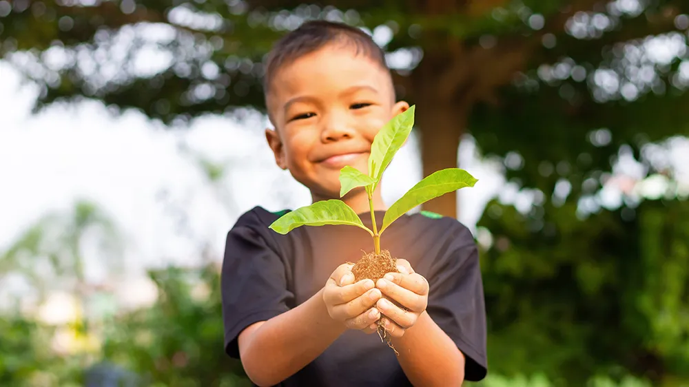Starts are purchased ready to go into the ground.