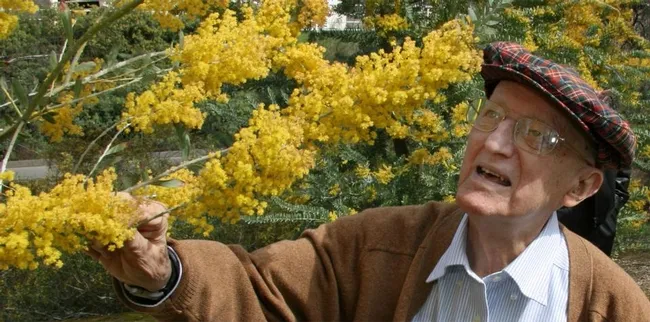 Eric Conn, a noted plant biochemist, nurtured the UC Davis Arborteum’s acacias for scientific as well as aesthetic reasons. He died in 2017 at age 94. (UC Davis Photo)