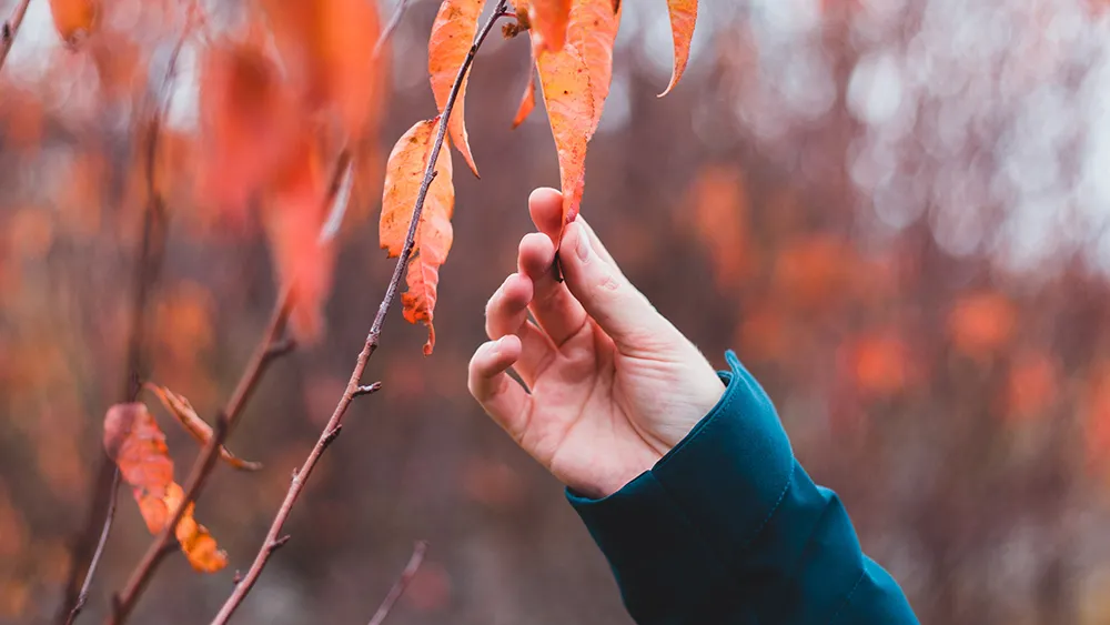 Erik Mclean, Unsplash