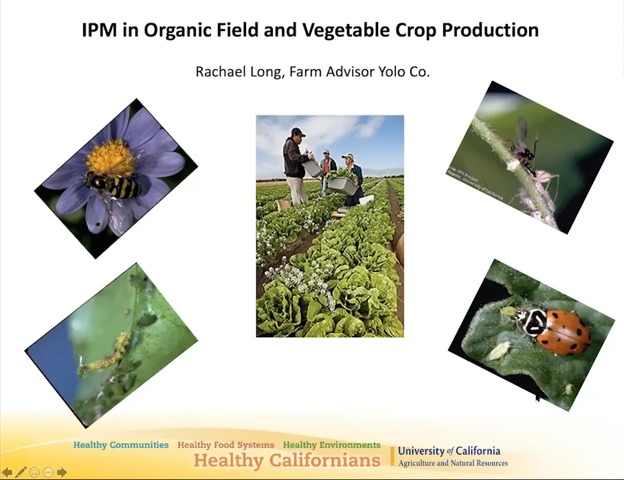 IPM Screen Shot 2021-02-03 at 10.56.27 AM