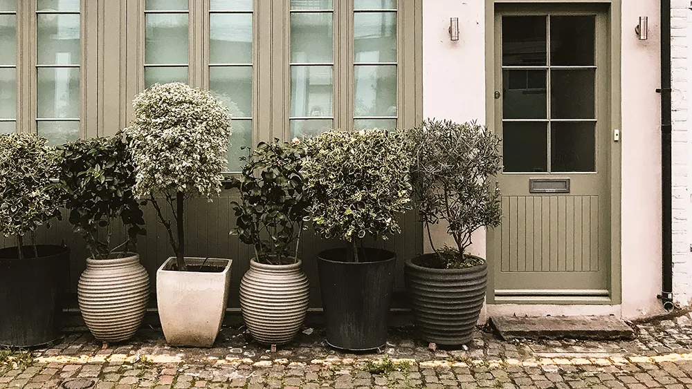 Fines Anton, Unsplash