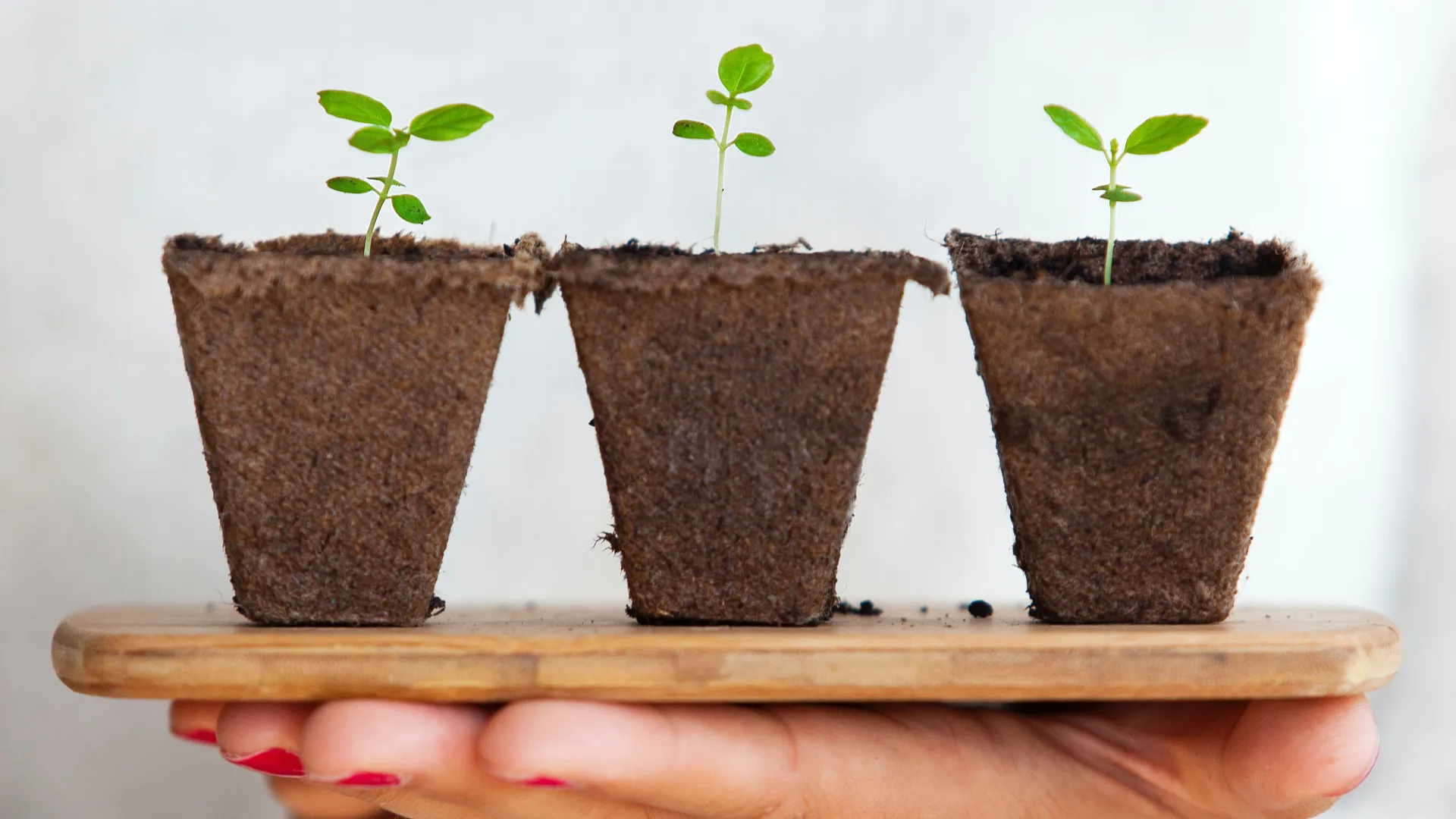 Daniel Oberg, Unsplash