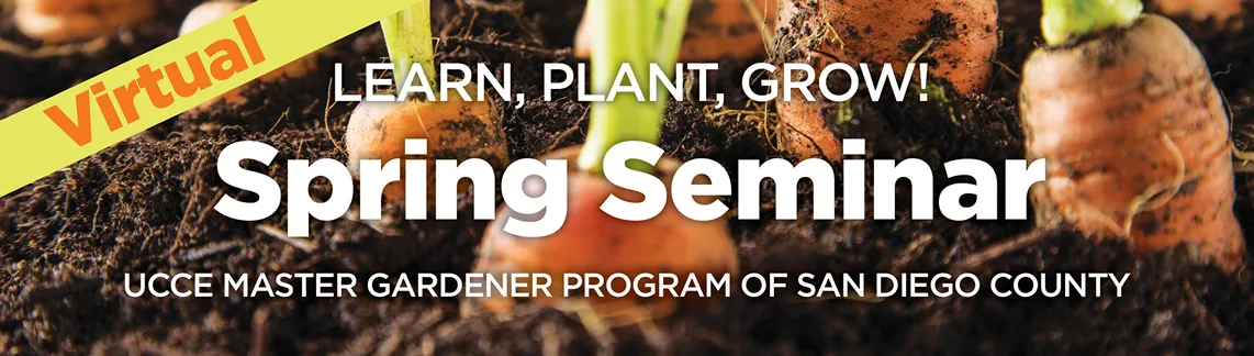 VirtualSpringSeminar2021