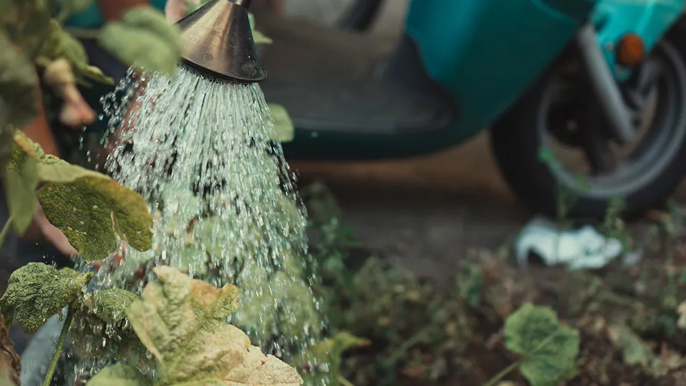 jonathan-kemper-xvVAkT3I-84-unsplash