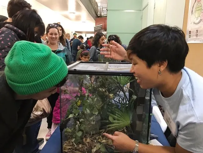 UC Davis entomology major Rebecca Jean "RJ" Millena shows visitors some of the critters in the Bohart Museum of Entomology.