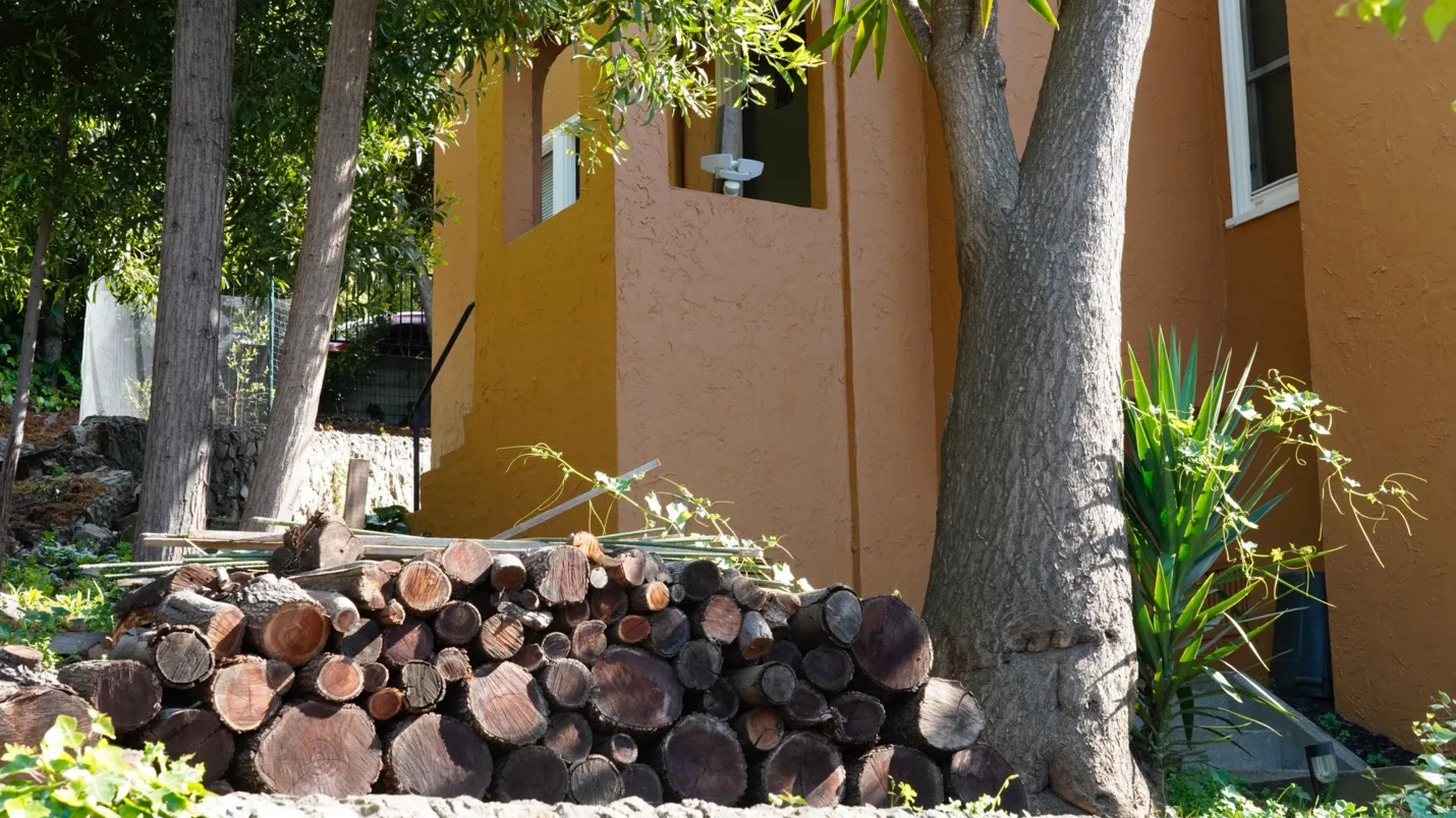 Eliminate woodpiles and other combustible material near your home and under trees. F. Mark