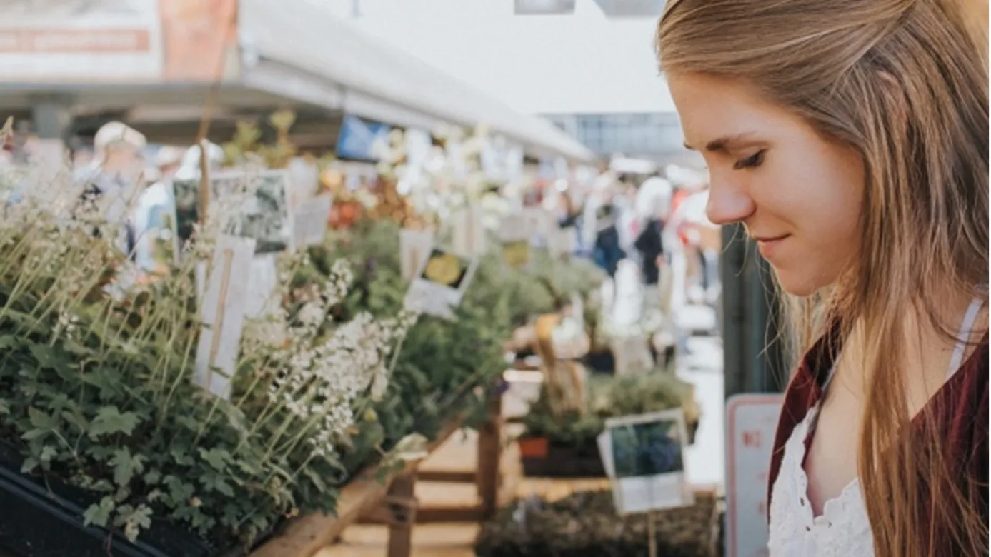 Before purchasing your plant, carefully plan its location. Photo Piqsels