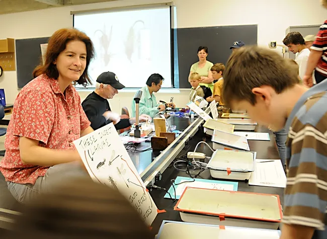 Professor Sharon Lawler will talk about aquatic insects at the 2021 UC Davis Picnic Day. This is from a recent Picnic Day. (Photo by Kathy Keatley Garvey)