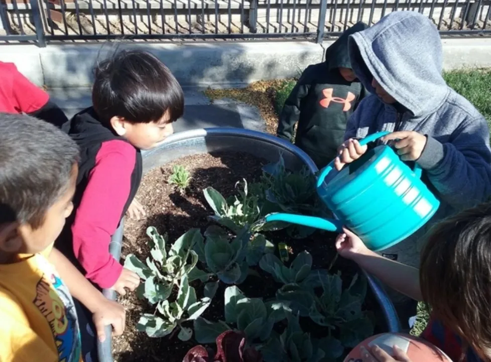 Screen Shot 2021-05-13 at 10.45.48 AM