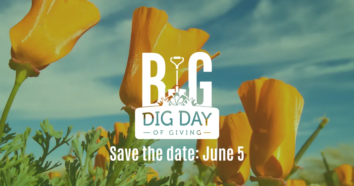 Save the Date Poppies