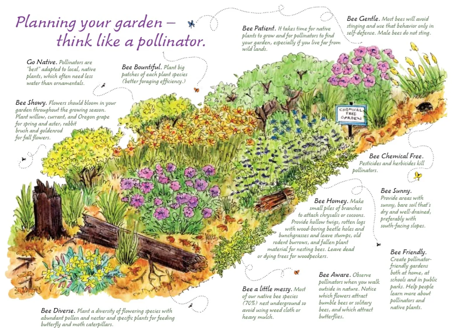 Courtesy of US Forest Service and Nancy Reil