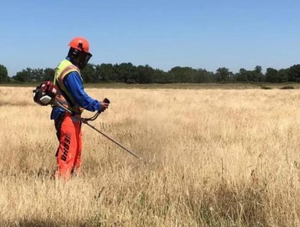 Screen Shot 2021-06-25 at 10.22.35 AM