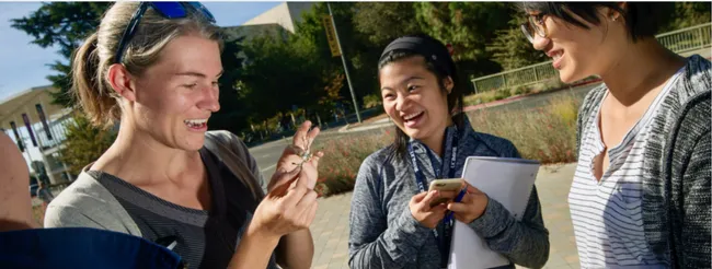 Scores of projects in the laboratory of UC Davis community ecologist Rachel Vannette (far left) are in full force. This image appears on the UC Davis Department of Entomology and Nematology home page.