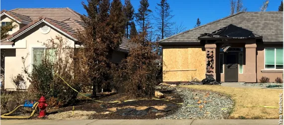 Screen Shot 2021-07-26 at 5.49.34 PM