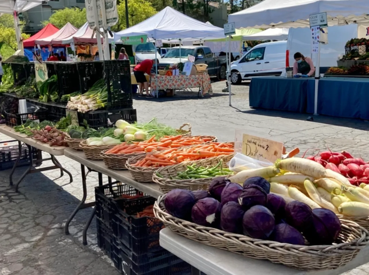 Screen Shot 2021-08-05 at 5.22.05 PM