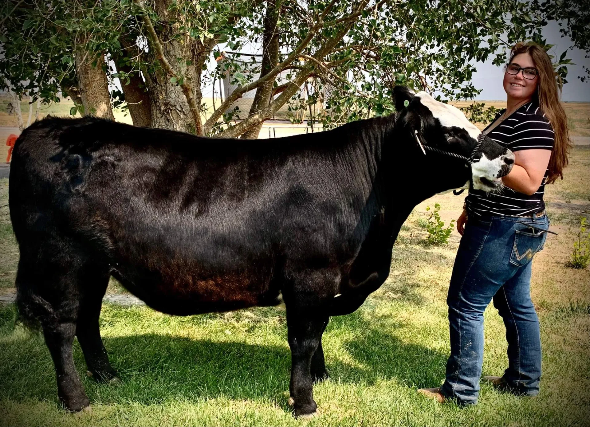 Kristin-Sierra Valley 4-H-steer-Chunk