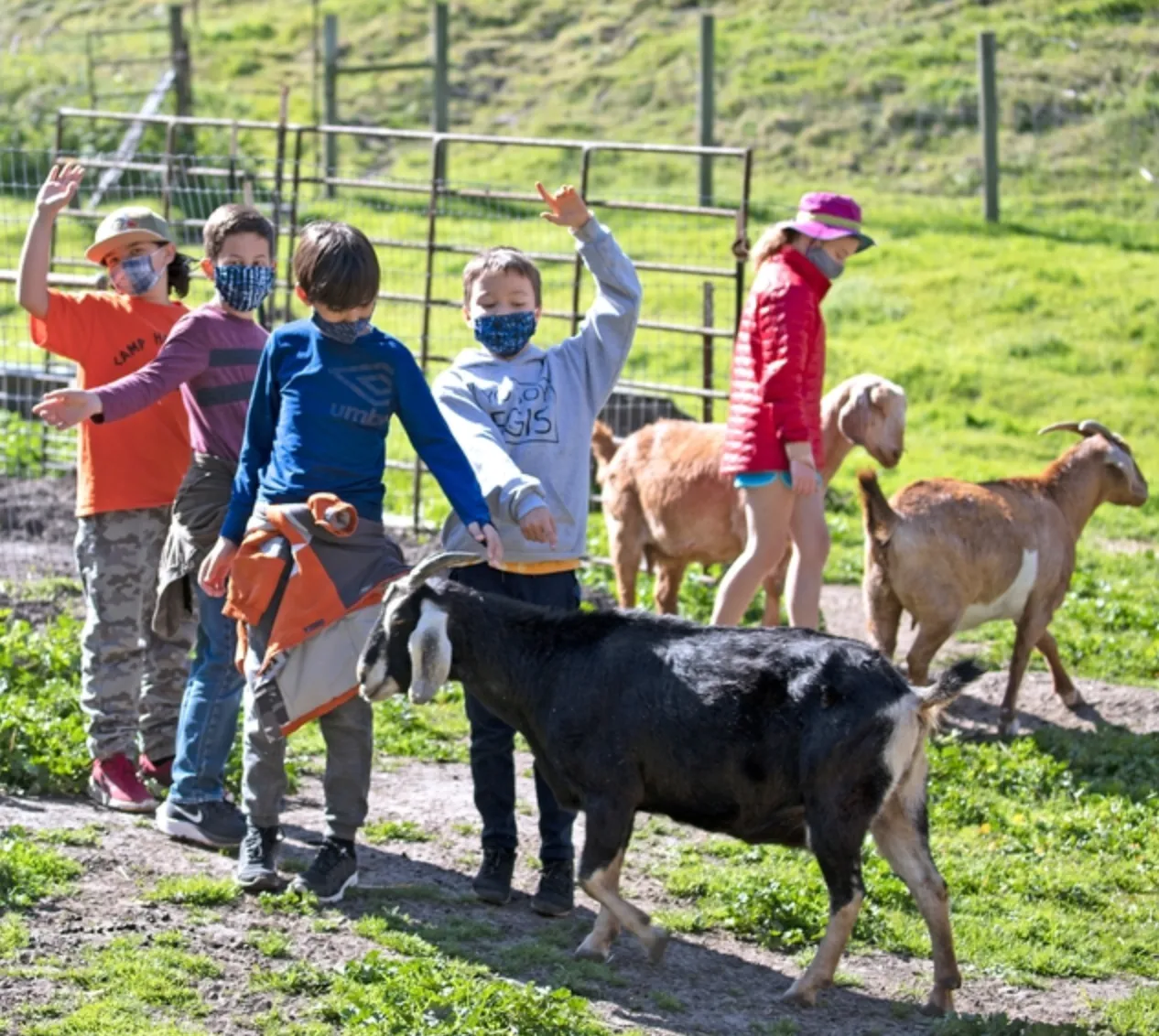 Screen Shot 2021-08-19 at 12.24.47 PM