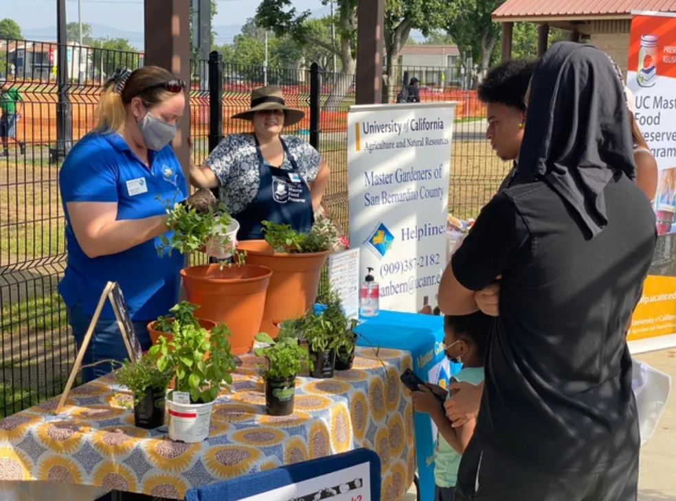 Screen Shot 2021-08-25 at 5.21.34 PM