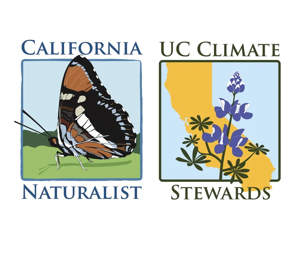 Zoom Camera Off Photo CN-UCCS