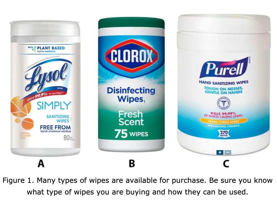 volunteers plant cabbage at South Coast REC