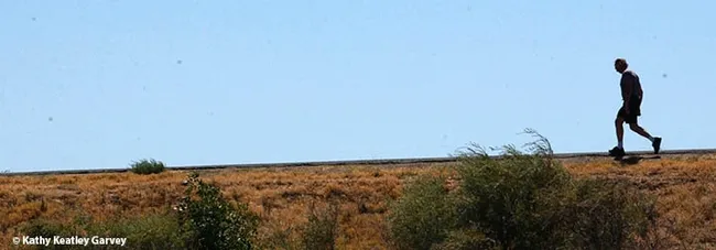 Human hibernation and longevity will be the topic of UC Davis distinguished professor James R. Carey's quest for research papers. (Photo by Kathy Keatley Garvey)