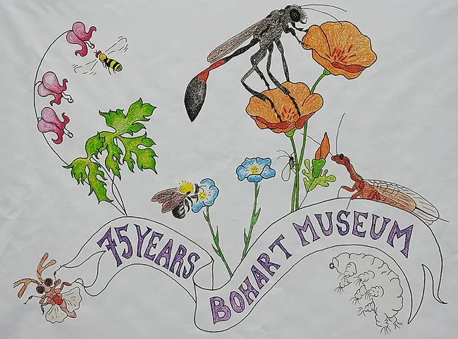 Christine Melvin's art work, transformed into a banner for the Bohart Museum of Entomology's 75th anniversary, features a hover fly, sphecid wasp, snake fly, bumble bee, aphid, twisted wing parasite and a tardigrade (water bear).