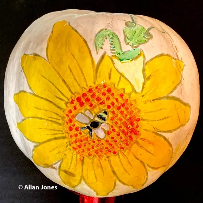 The mantis-and-bee image that Allan Jones captured became a fanciful pumpkin. (Photo by Allan Jones)