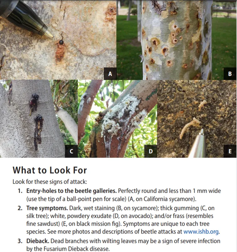 ISHB - What to Look For_source-ANR pub 240640