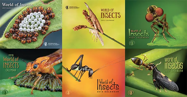 Covers of some of the ESA calendars, from 2017 to 2022.