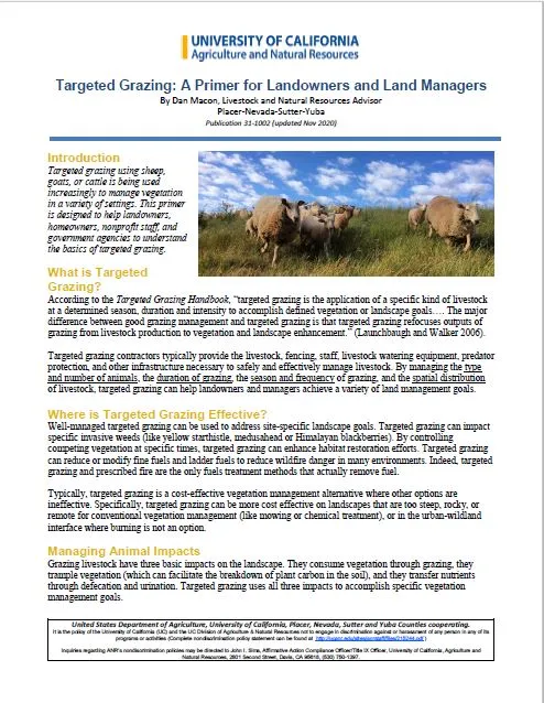 targ graz screen shot