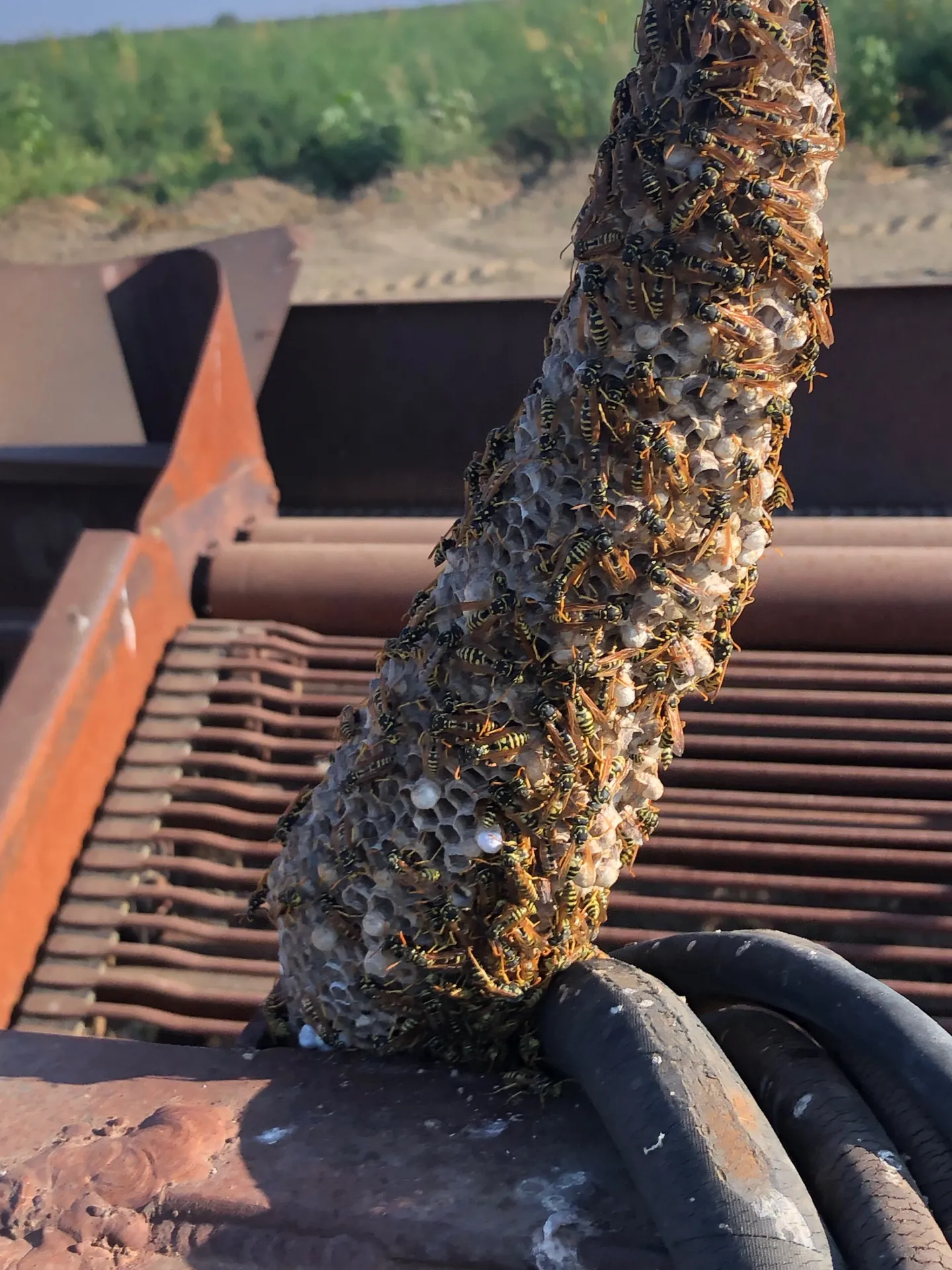 Be careful what you grasp