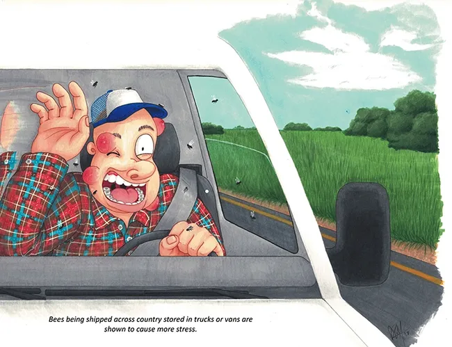 "Bees being shipped across country stored in trucks or vans are shown to cause more stress," wrote one student on an Entomology 100 term paper that appears on the Bohart Museum of Entomology's 2022 calendar. (Illustration by Kris Merritt)