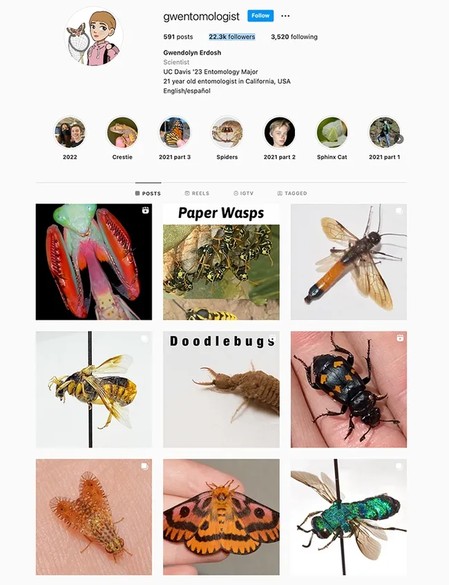 Gwen Erdosh's Instagram account; more than 22,000 fans follower her.