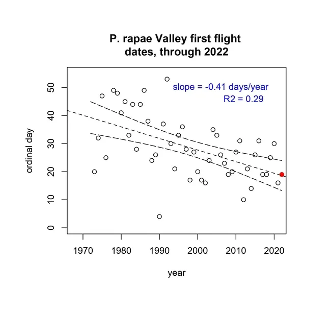 This is the graph created by Matt Forister, the McMinn Professor of Biology at the University of Nevada. Forister calculated that the first cabbage white butterfly of 2022 would be sighted in the three-county area of Yolo, Solano and Sacramento on Jan. 19. UC Davis Professor Art Shapiro sighted his first of the year on Jan. 19.
