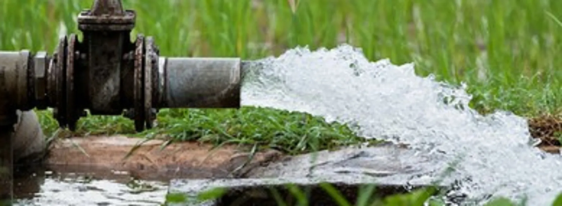 crystal-clear-water-being-flush-260nw-201130814