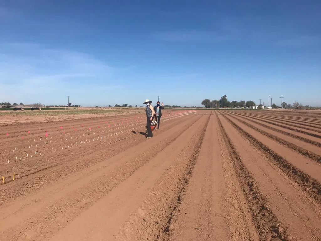 78e22a5f-d7ce-4113-aa01-5067b4f547da (1)