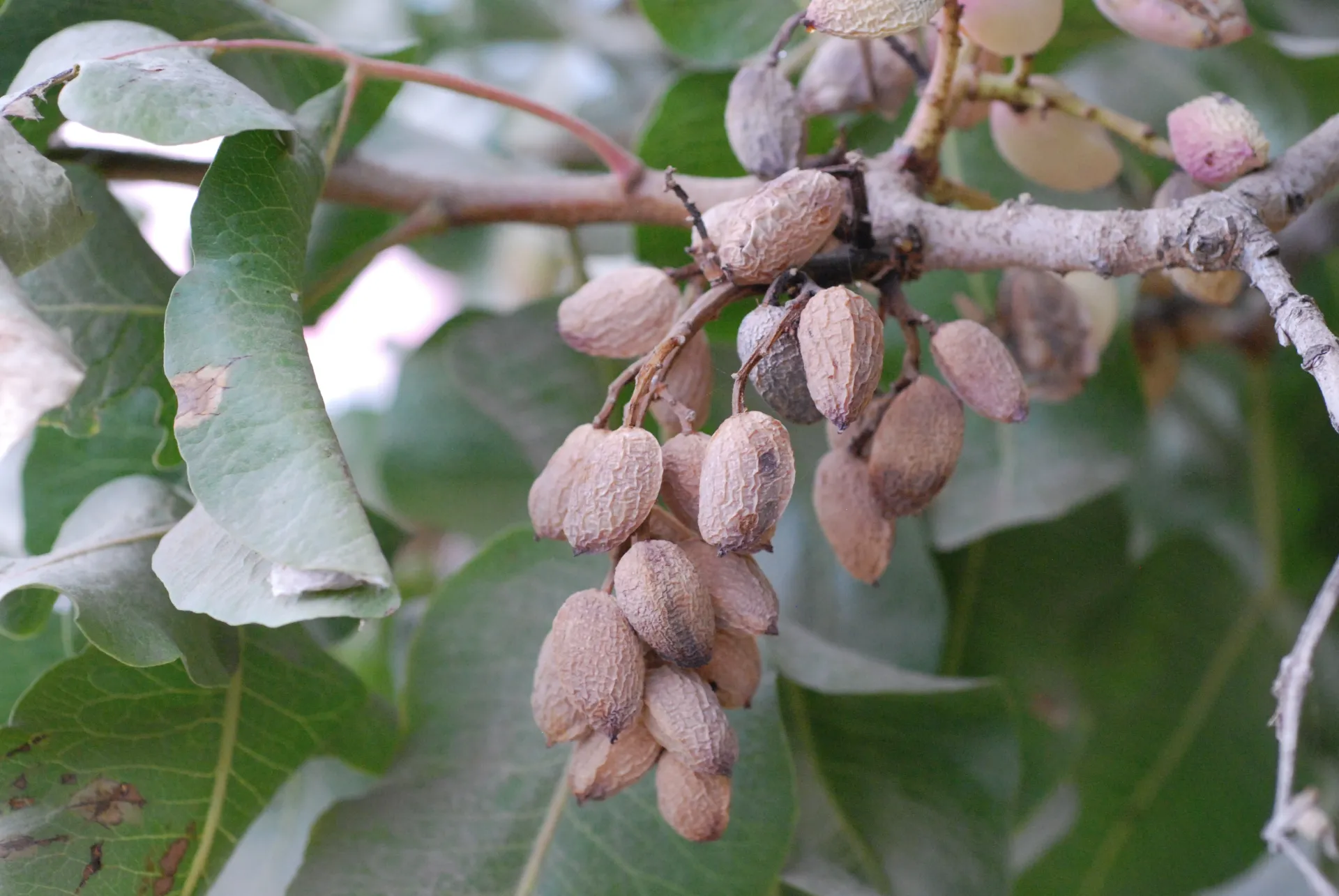 BD KAC oct 2012-3 (1)