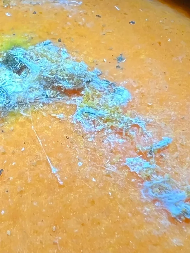 Egg sacs with amber yellow colored eggs