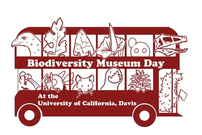 All aboard the UC Davis Biodiversity Museum bus! This art is the work of Ivana Li, UC Davis biology laboratory manager.