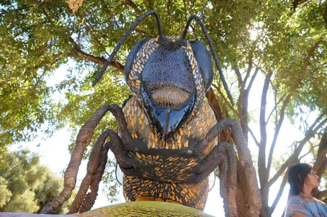 Close-up of "Miss Bee Haven," a six-foot-long sculpture of a worker bee by noted artist Donna Billick of Davis. (Photo by Kathy Keatley Garvey)