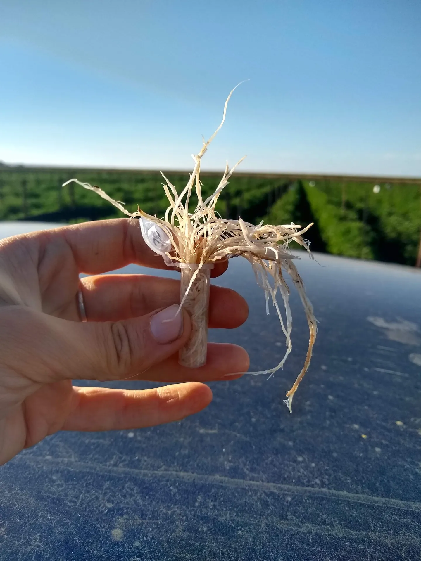 IMG_20200703_190130380_HDR