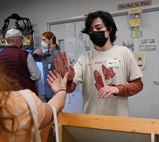 Insect enthusiast James Heydon (front) and scientist Ben Maples (back), a UC Davis entomology graduate who works at the California Department of Food and Agriculture, show insects at the Bohart Museum of Entomology on Sunday, March 6 during the 11th annual UC Davis Biodiversity Museum Day. (Photo by Kathy Keatley Garvey)
